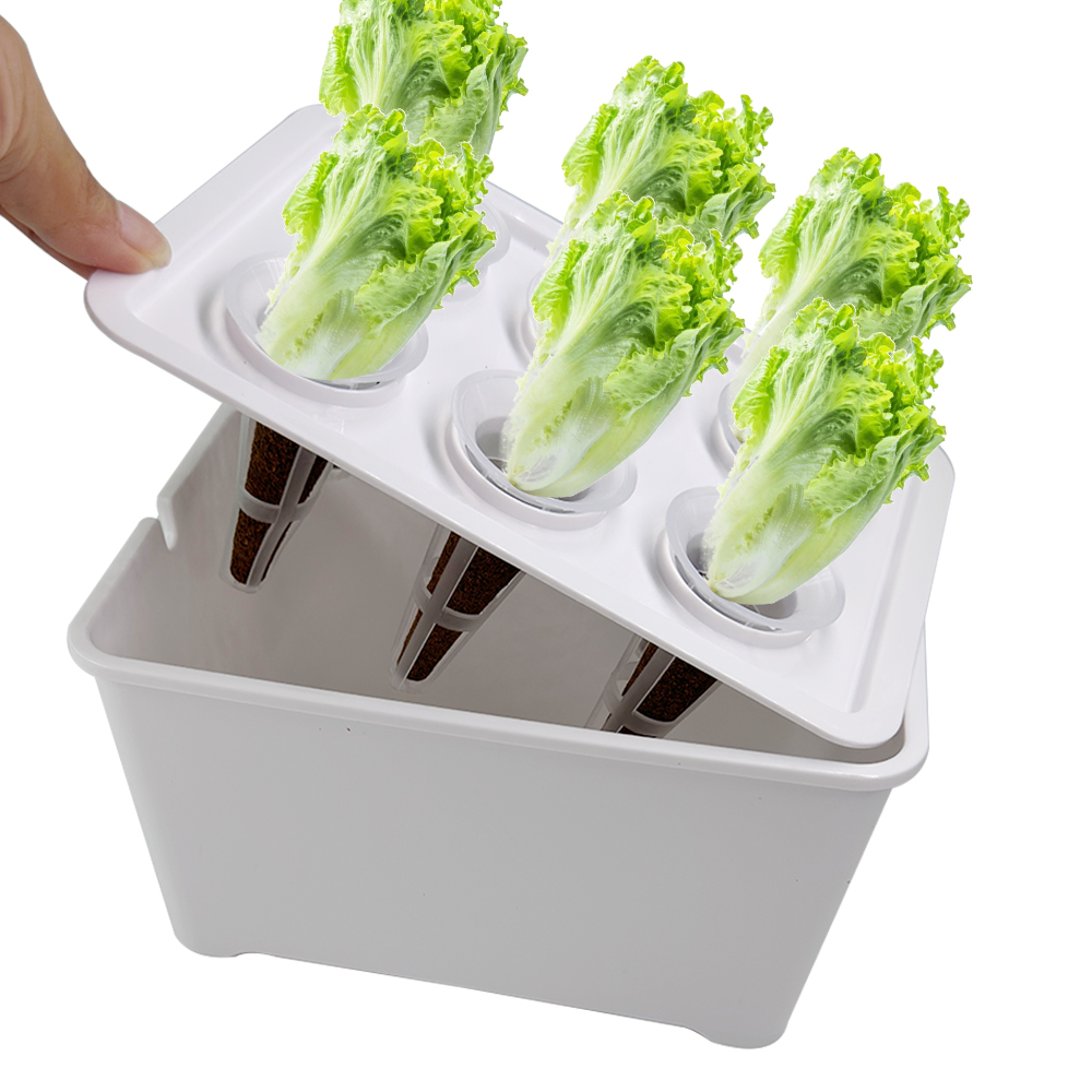 Net Pot 3 Inch - Pot Tanam Hidroponik Indoor 7x4.7x4.1 inci,