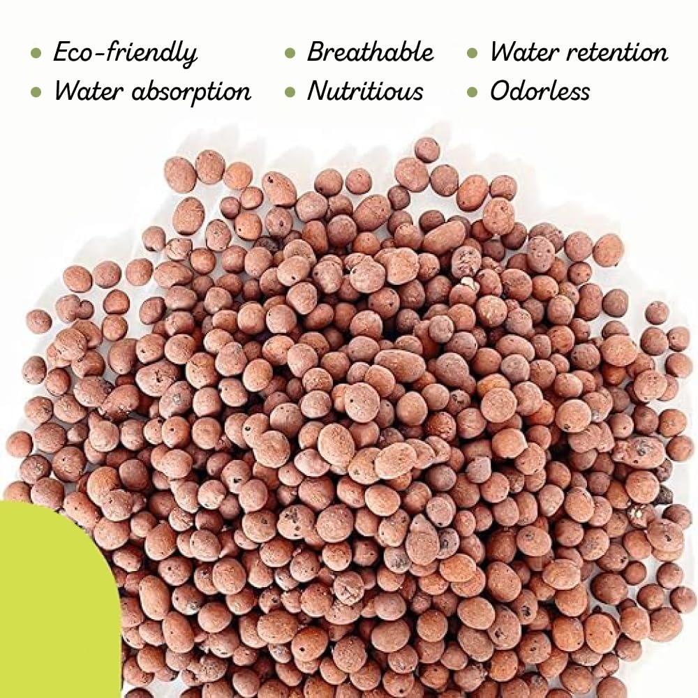 Clay Pebble Growing - Batu Kerikil Ekspansi AS untuk Hidroponik