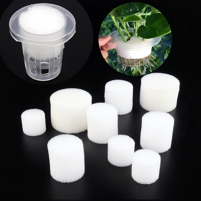Net Pot 3 Inch - 50 Buah Spons Jaring Putih Keranjang