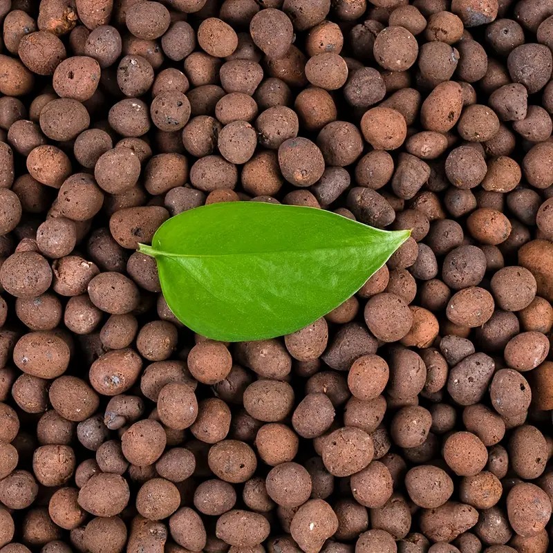 Clay Pebble Growing - 1LB Kerikil Tanah Liat Hidroponik Dapat