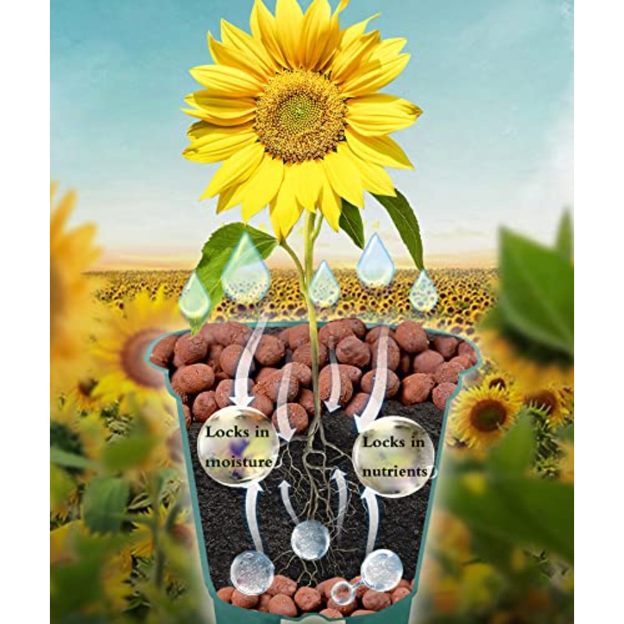 Voulosimi Clay Pebbles Hydropo - Clay Pebble Growing ulasan dan harga