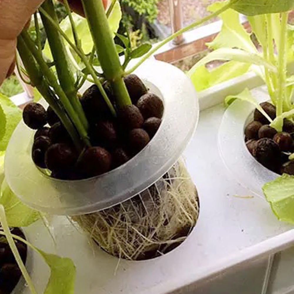 10Pcs Pot Jaring Hidroponik un - Net Pot 3 Inch ulasan dan harga