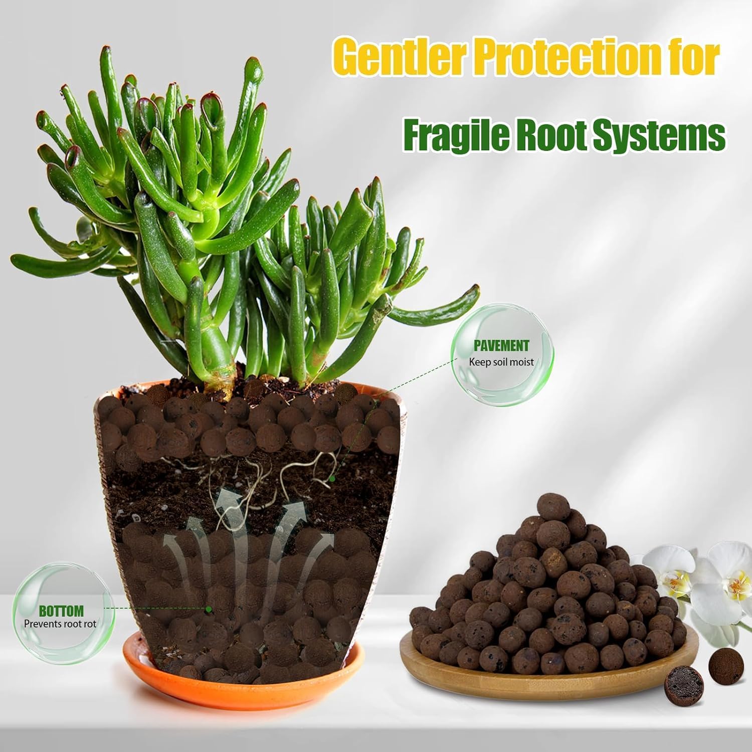 Bola Tanah Liat Organik 2L/1L, - Clay Pebble Growing ulasan dan harga
