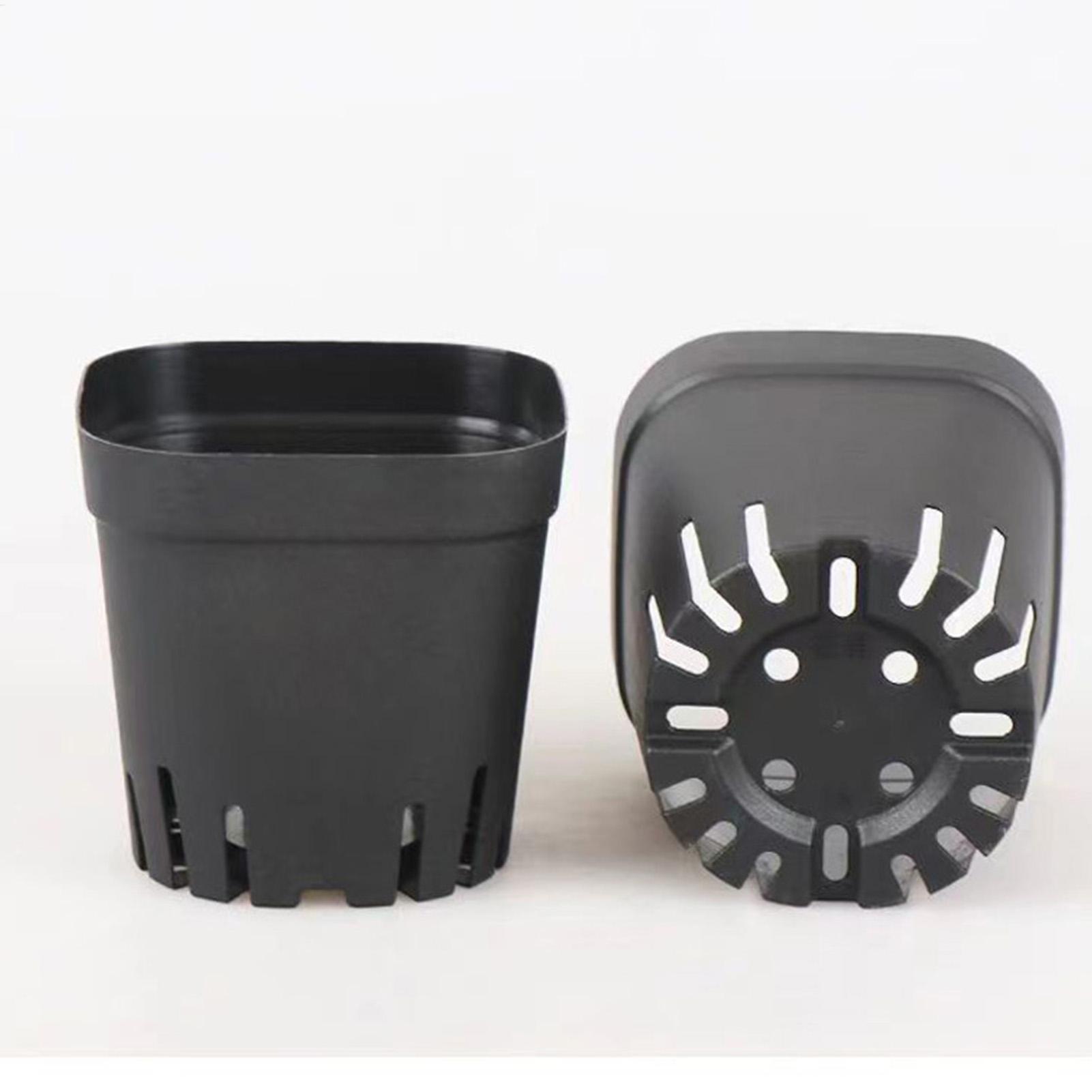 Pot Starter 5.5cm/7cm/10cm Unt - Net Pot 3 Inch ulasan dan harga