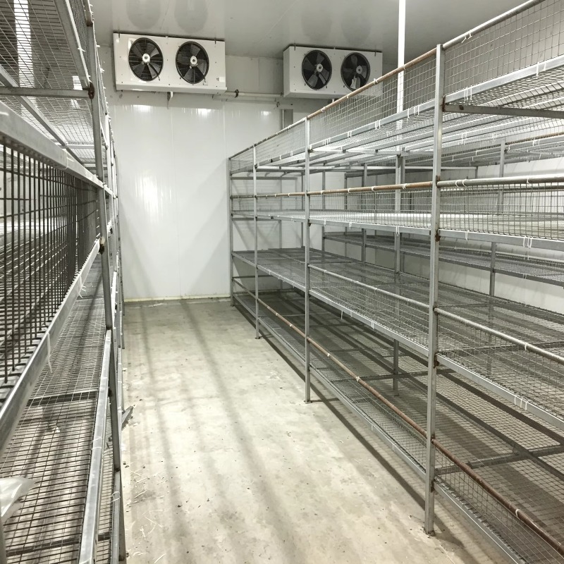 Pertanian Kontainer Hidroponik - Urban Farming Project ulasan dan harga