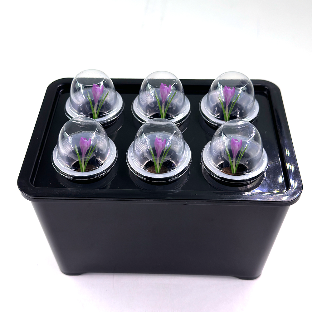 Pot Tanam Hidroponik Indoor 7x - Net Pot 3 Inch ulasan dan harga