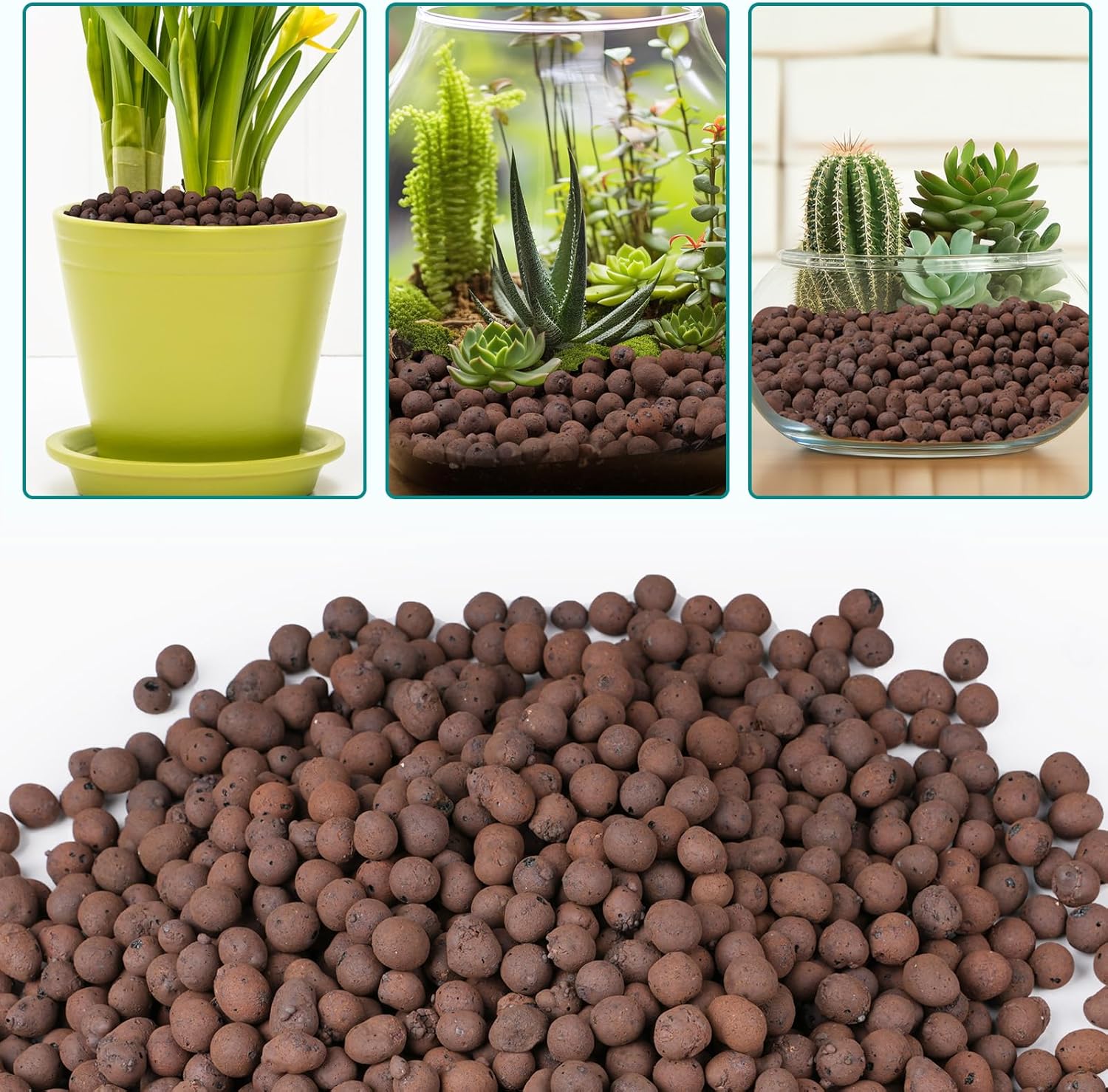 100/200G Kerikil Tanah Liat un - Clay Pebble Growing ulasan dan harga
