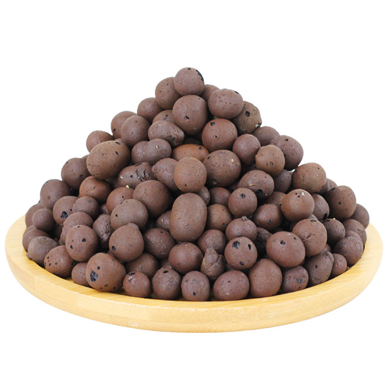 500G Organik Cahaya Ceramsite  - Clay Pebble Growing ulasan dan harga