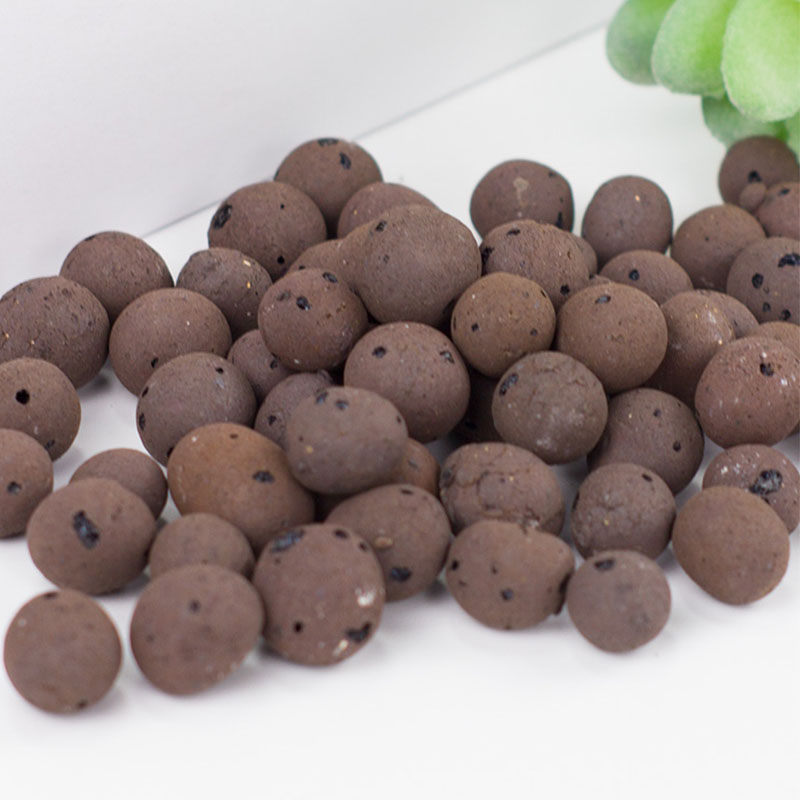 500G Organik Cahaya Ceramsite  - Clay Pebble Growing ulasan dan harga