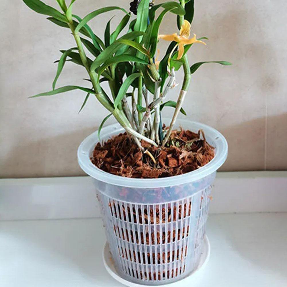 Pot Mesh 11/14/16/19cm Pengont - Net Pot 3 Inch ulasan dan harga