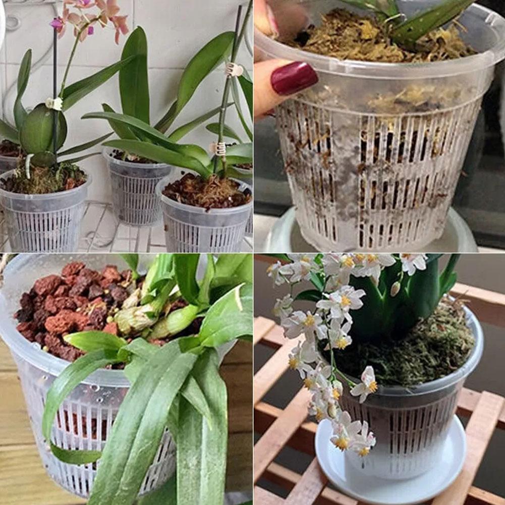 Pot Mesh 11/14/16/19cm Pengont - Net Pot 3 Inch ulasan dan harga