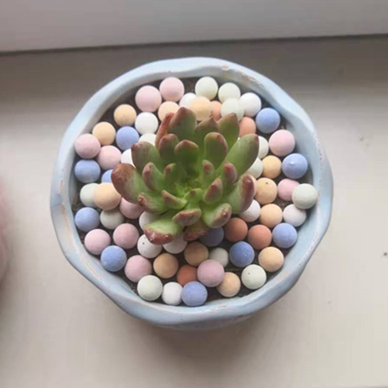 Kerikil tanah liat padat Ceram - Clay Pebble Growing ulasan dan harga