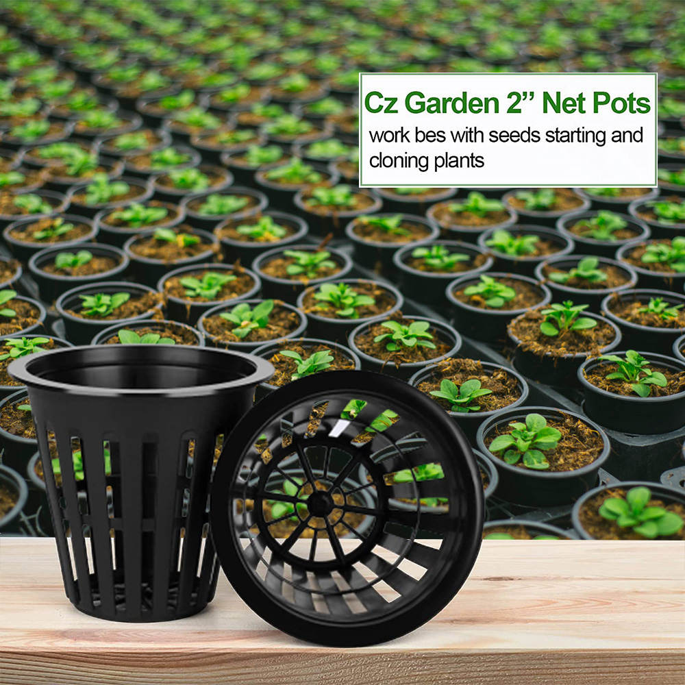 Pot Pembibitan Taman 2 Inci Ca - Net Pot 3 Inch ulasan dan harga