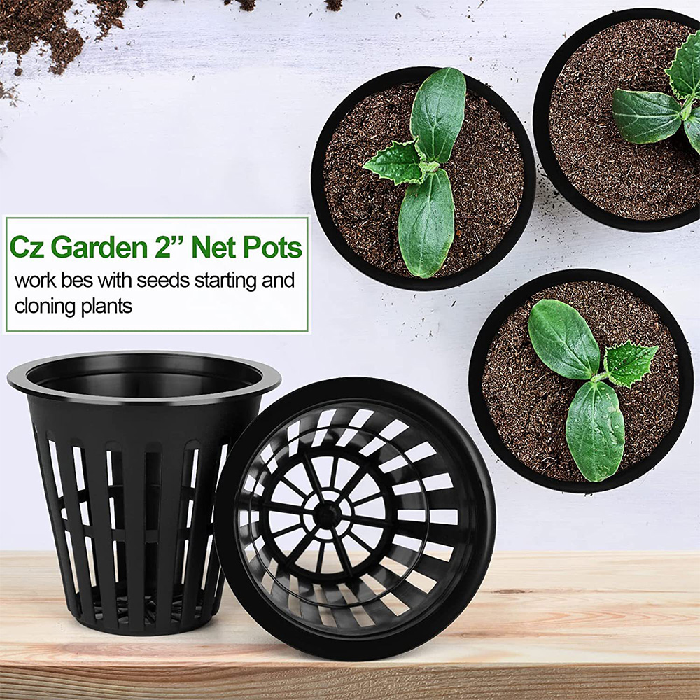 Pot Pembibitan Taman 2 Inci Ca - Net Pot 3 Inch ulasan dan harga